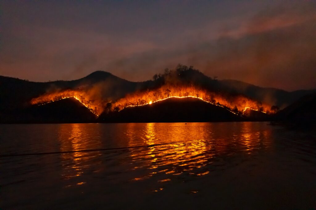 The man-made forest fire problem