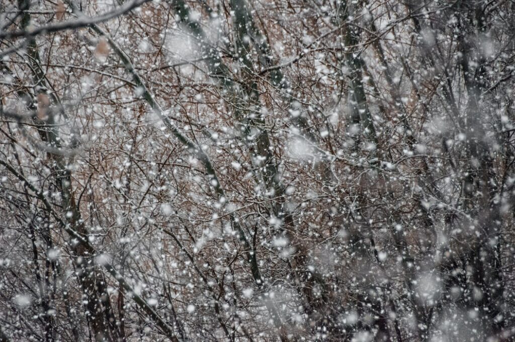 Don't let it snow