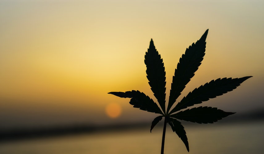 Marijuana smoked my planet