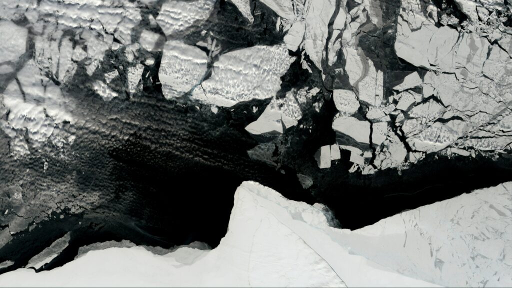 Ice floes in dark water.