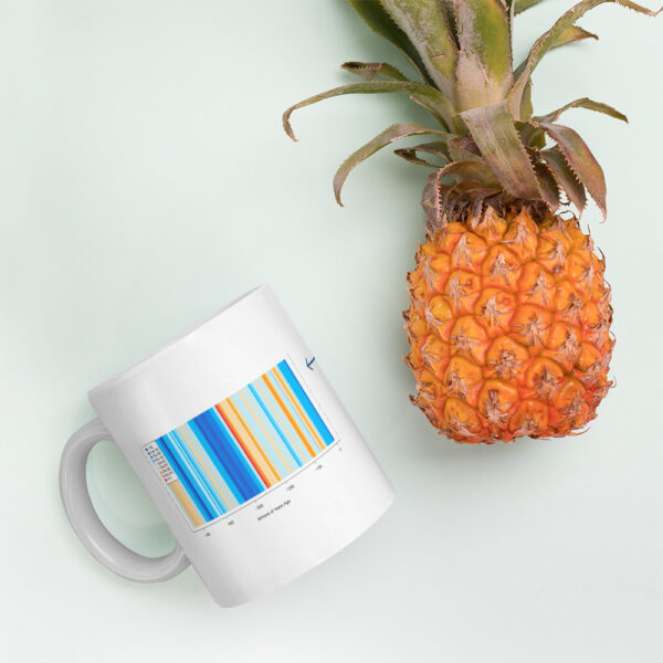 Visual of CDN's climate change mug.