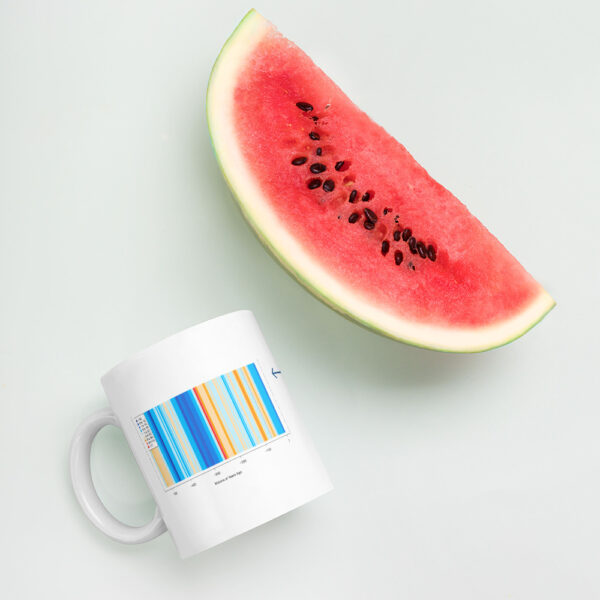 Visual of CDN's climate change mug.