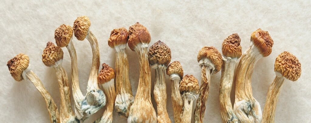 Magic mushrooms