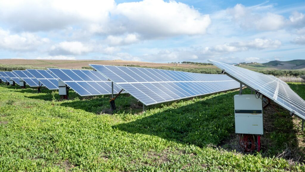 Solar farm