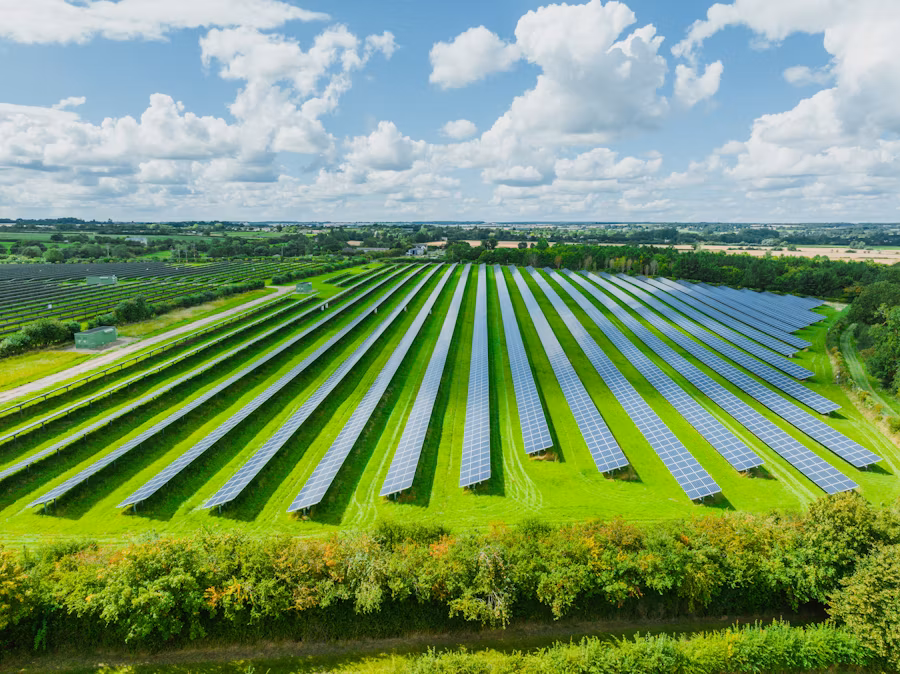 Field of solar panels