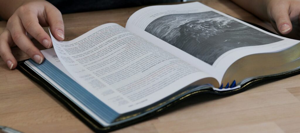 Study history!