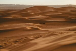 The Sahara
