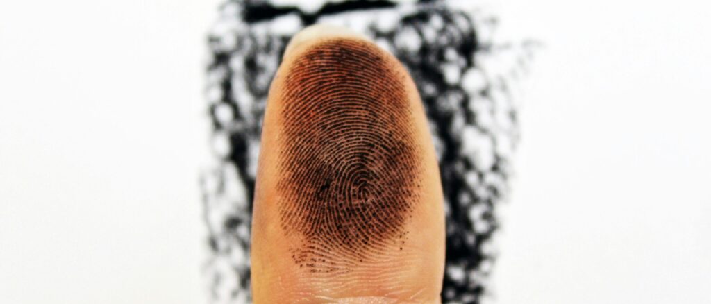 meg-jenson-9N9daxpBzaQ-unsplash