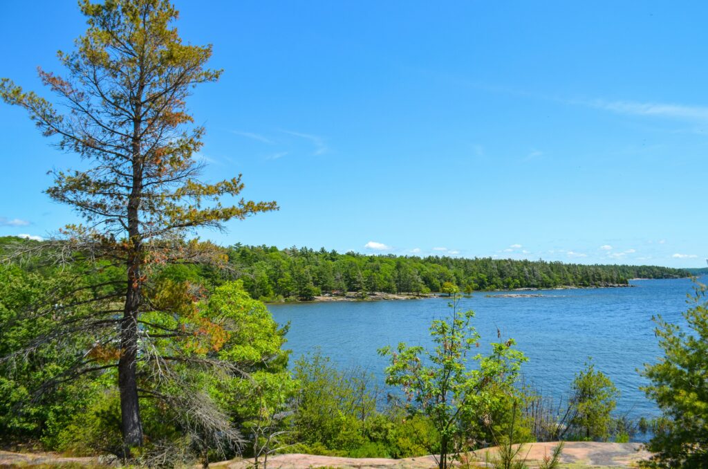 ariana-kaminski-XLjq-2P3RGQ-unsplash