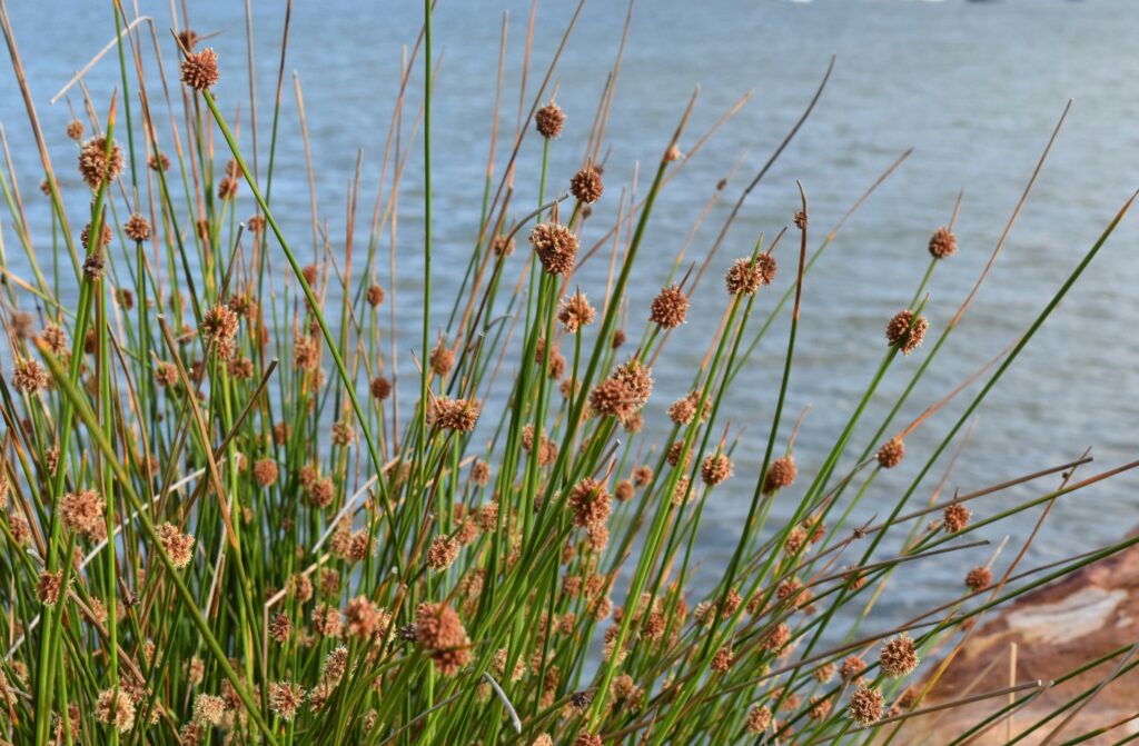 ch-photography-ERDf4ata_tE-unsplash