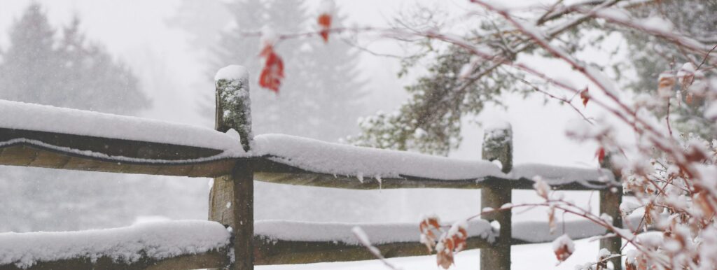 tim-gouw-rxLGSOM0e3U-unsplash