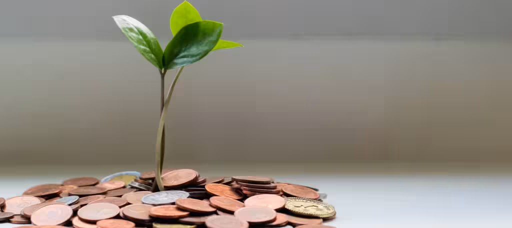 A plant growing from coins