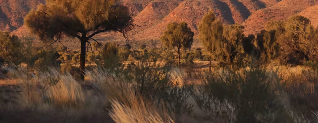 Australian outback